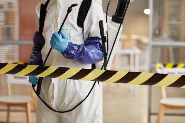 Professional Sewage Cleanup technician working in Buxton, ME